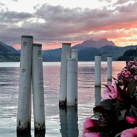 Ferienwohnungen Mit 4 Betten In Gersau Direkt Am Vierwaldstaettersee エクステリア 写真
