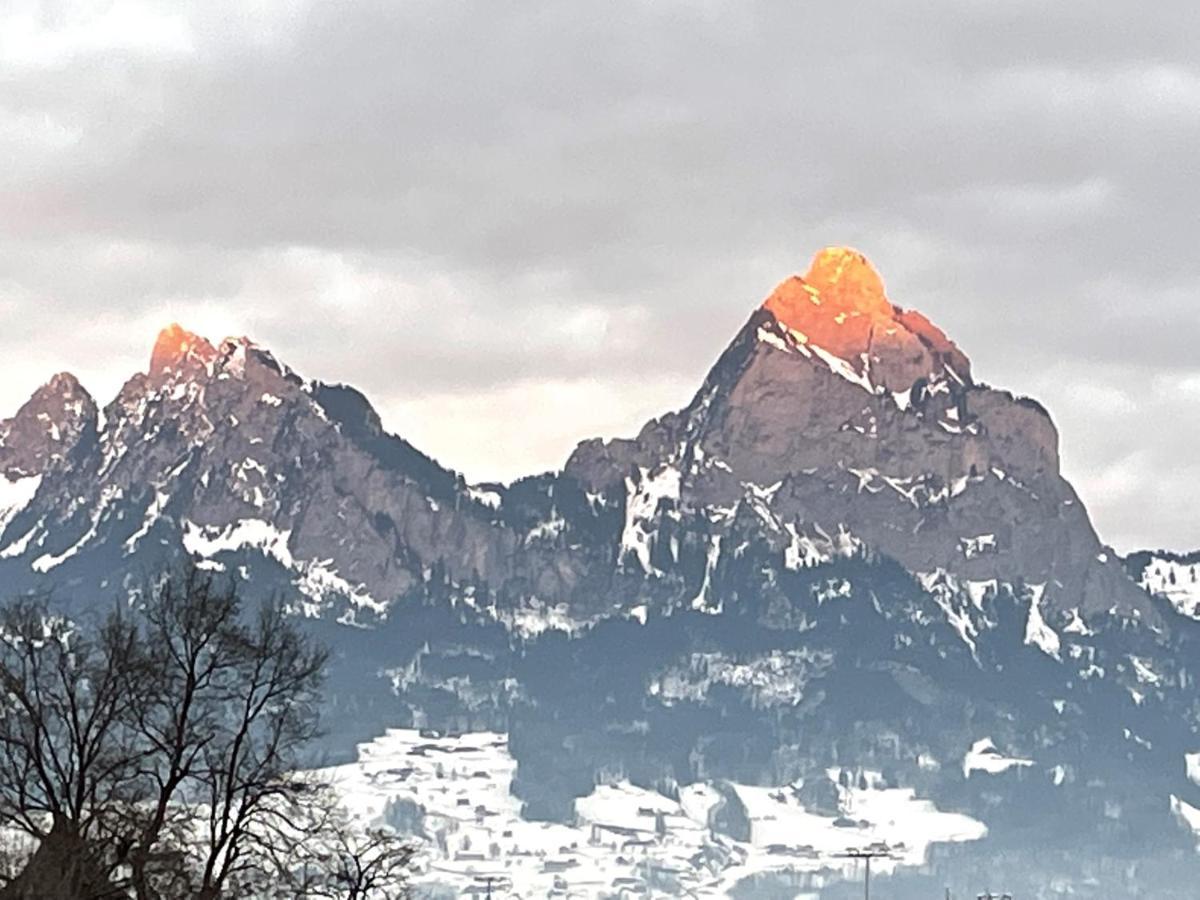Ferienwohnungen Mit 4 Betten In Gersau Direkt Am Vierwaldstaettersee エクステリア 写真