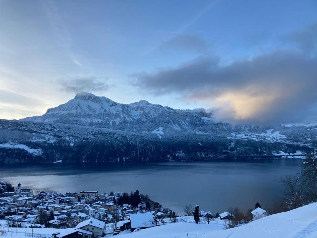 Ferienwohnungen Mit 4 Betten In Gersau Direkt Am Vierwaldstaettersee エクステリア 写真