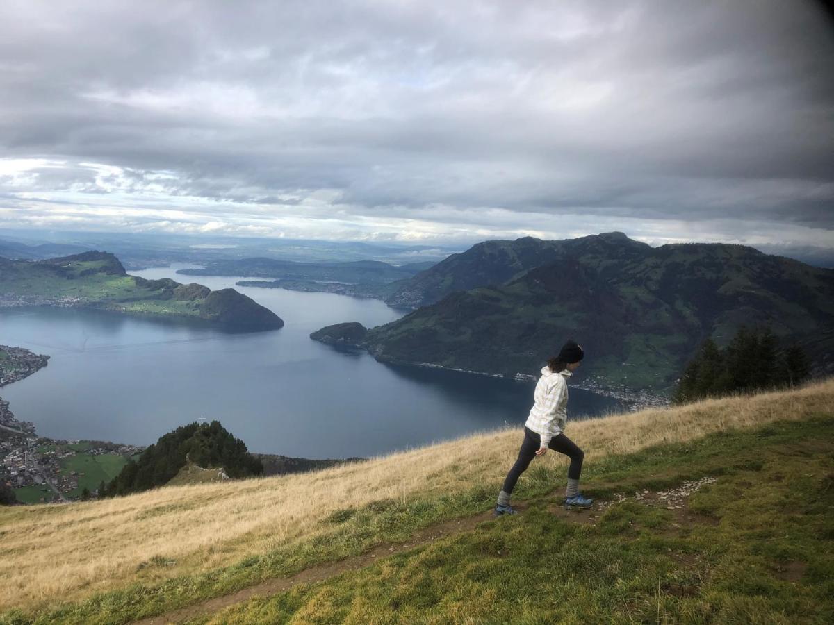 Ferienwohnungen Mit 4 Betten In Gersau Direkt Am Vierwaldstaettersee エクステリア 写真