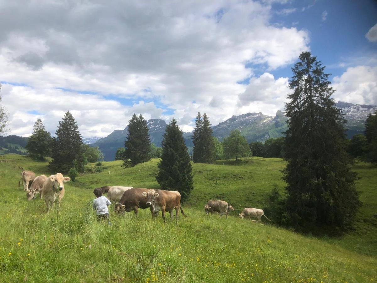 Ferienwohnungen Mit 4 Betten In Gersau Direkt Am Vierwaldstaettersee エクステリア 写真