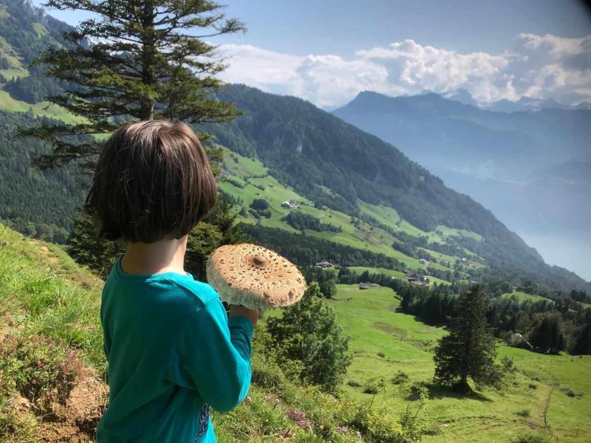 Ferienwohnungen Mit 4 Betten In Gersau Direkt Am Vierwaldstaettersee エクステリア 写真